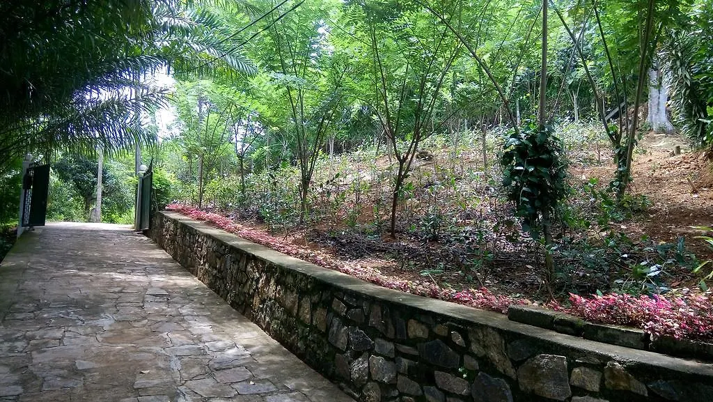 Séjour chez l'habitant Appartement Tea Leaf Retreat à Kandy Sri Lanka