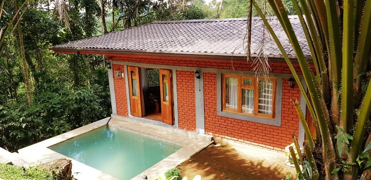 Séjour chez l'habitant Appartement Tea Leaf Retreat à Kandy
